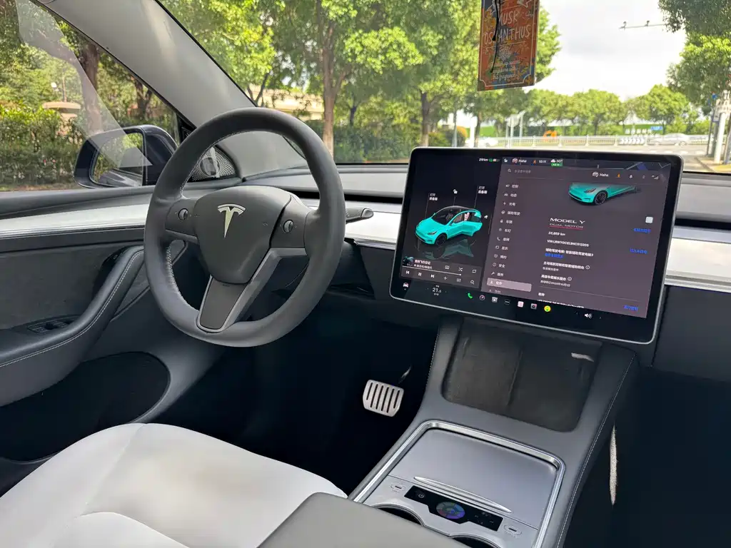 Tesla Model Y — фото 13