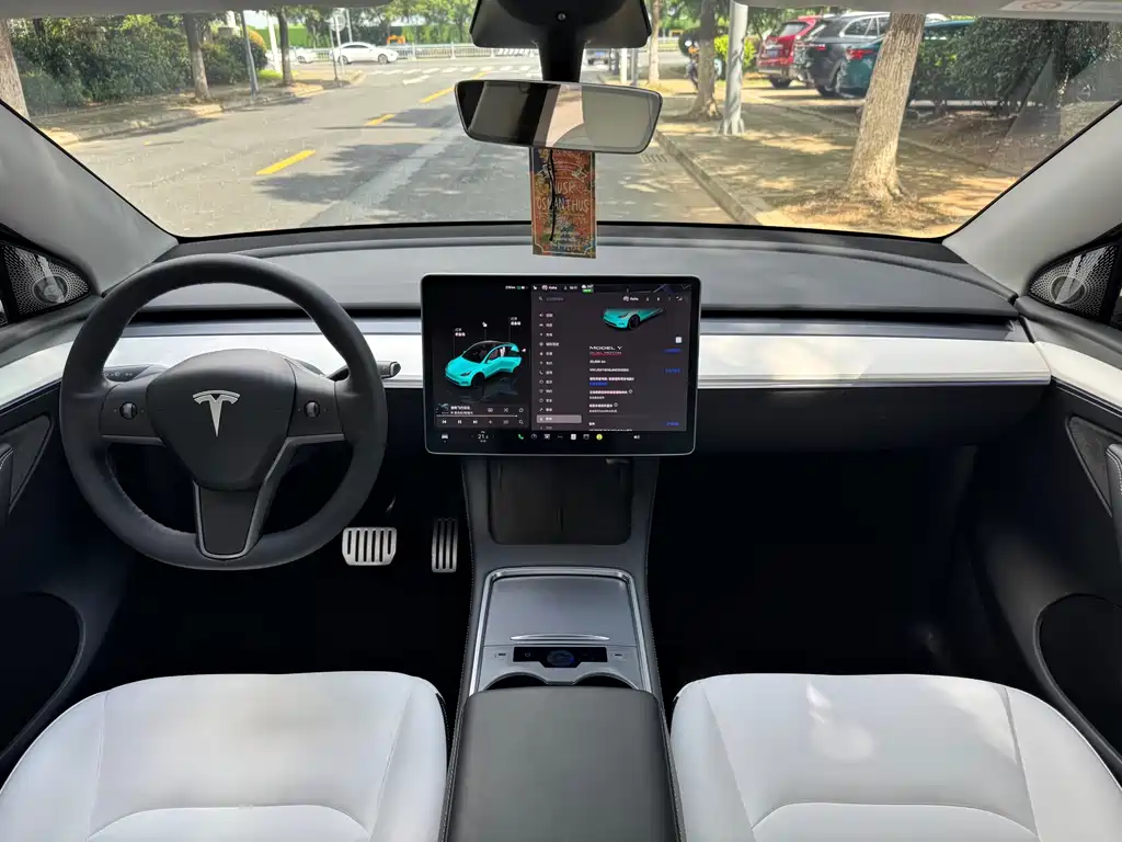Tesla Model Y — фото 15