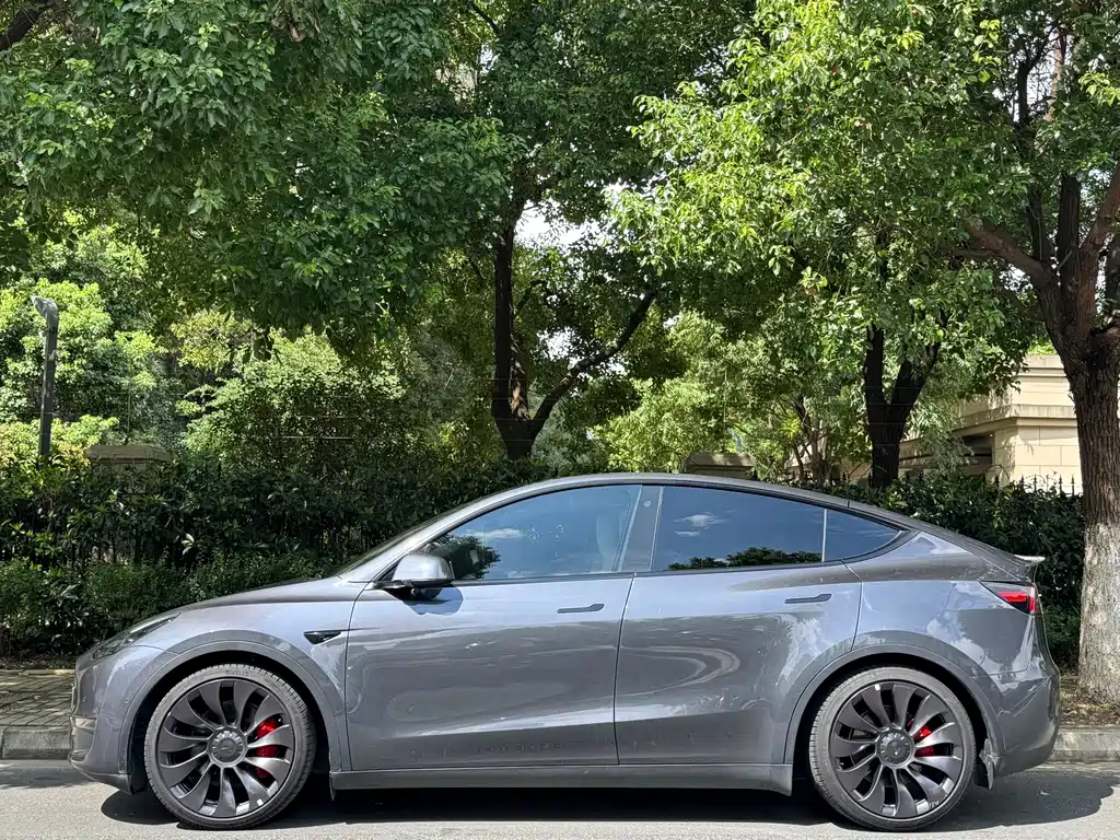 Tesla Model Y — фото 3