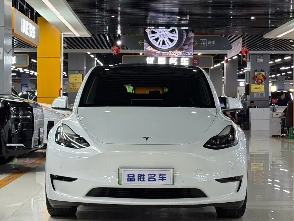 Tesla Model Y — фото 2