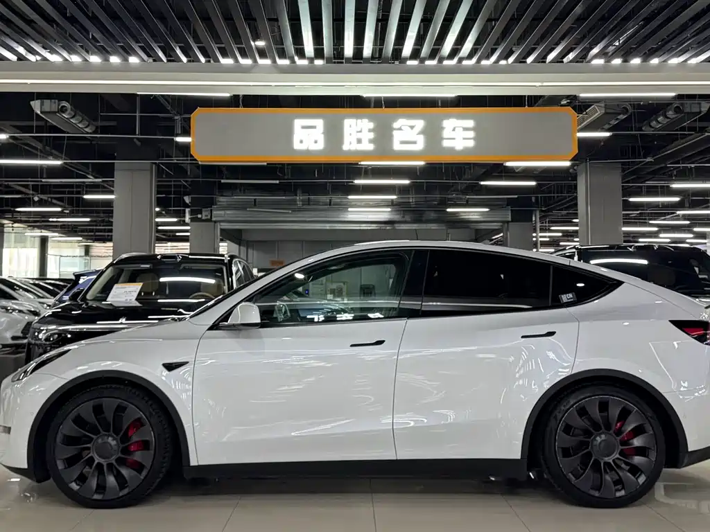 Tesla Model Y — фото 3