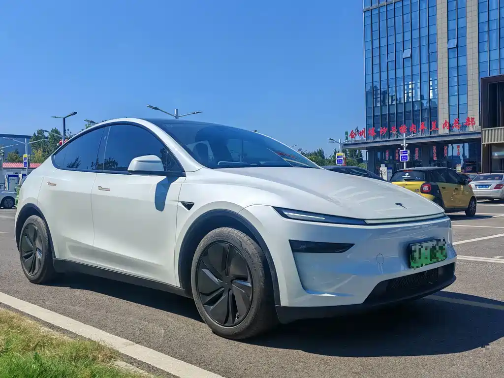 Tesla Model Y — фото 3