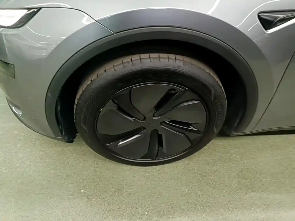Tesla Model Y — фото 23