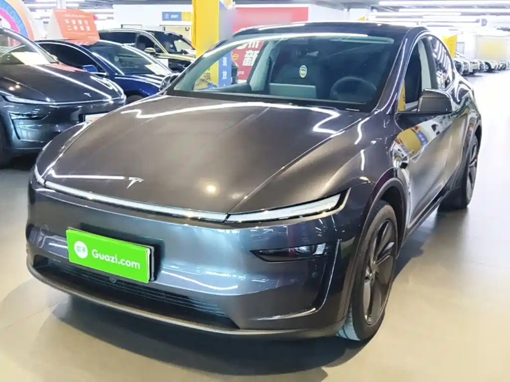 Tesla Model Y — фото 2