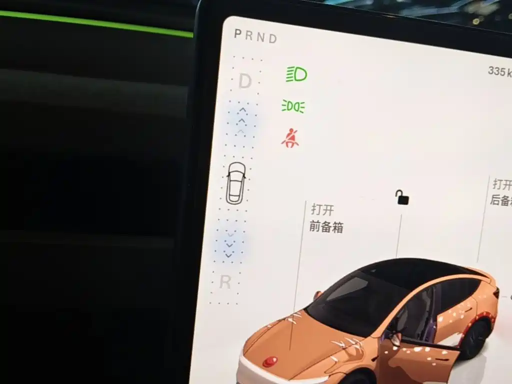 Tesla Model Y — фото 14