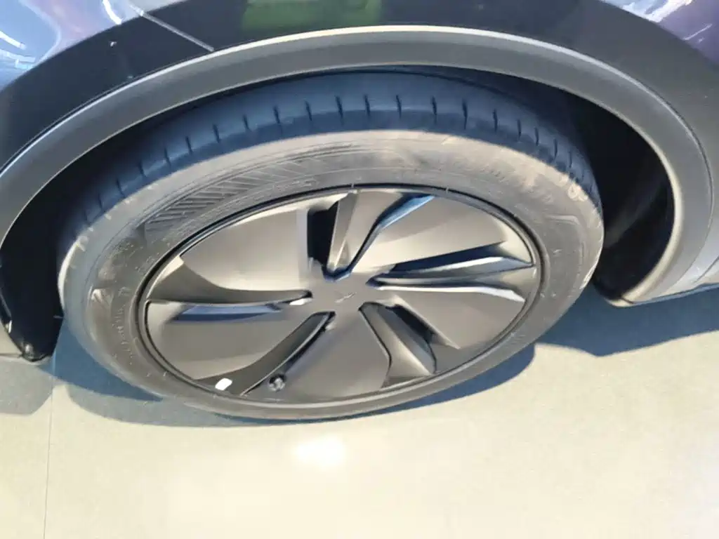 Tesla Model Y — фото 23