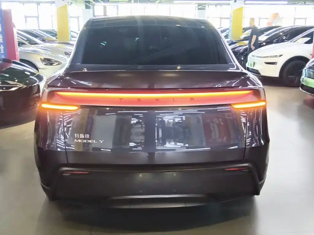 Tesla Model Y — фото 6