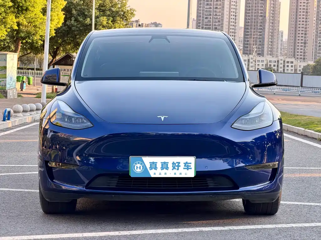 Tesla Model Y — фото 2