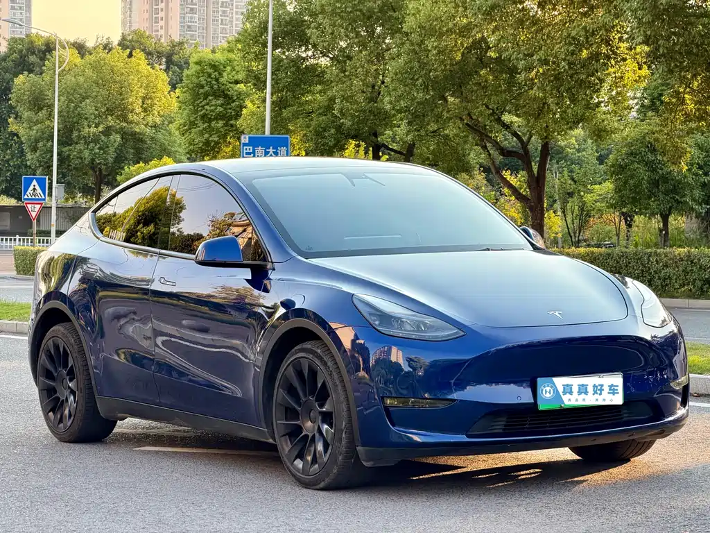 Tesla Model Y — фото 3