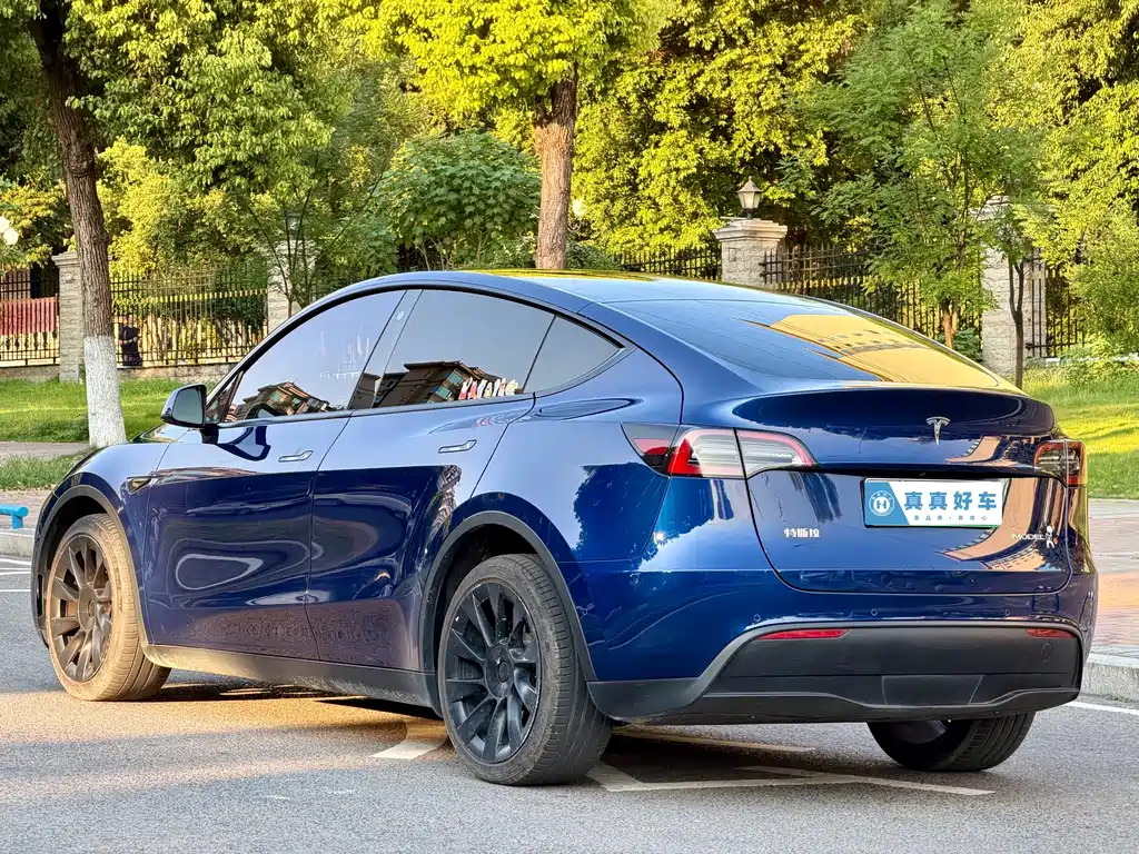 Tesla Model Y — фото 6