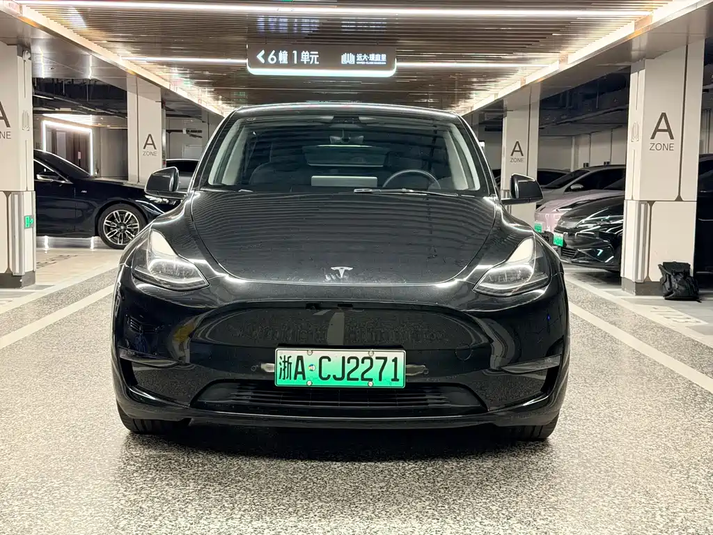 Tesla Model Y — фото 2