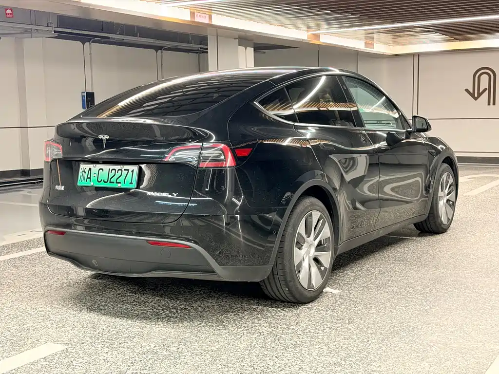 Tesla Model Y — фото 8