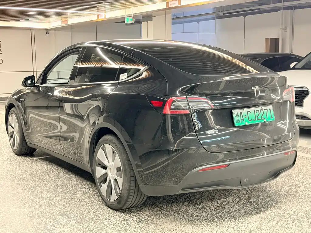 Tesla Model Y — фото 10