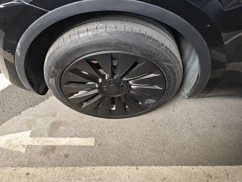 Tesla Model Y — фото 23