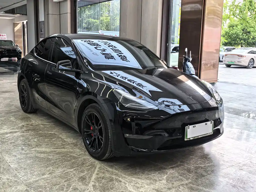 Tesla Model Y — фото 3