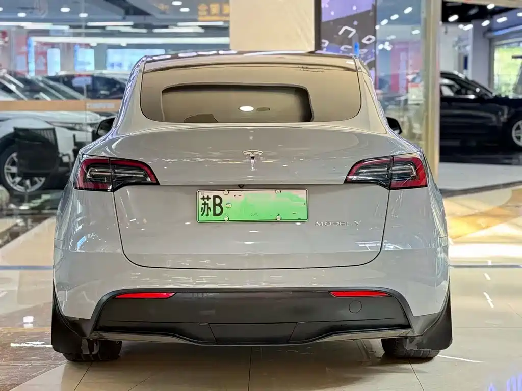 Tesla Model Y — фото 5