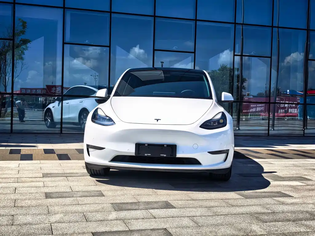 Tesla Model Y — фото 2