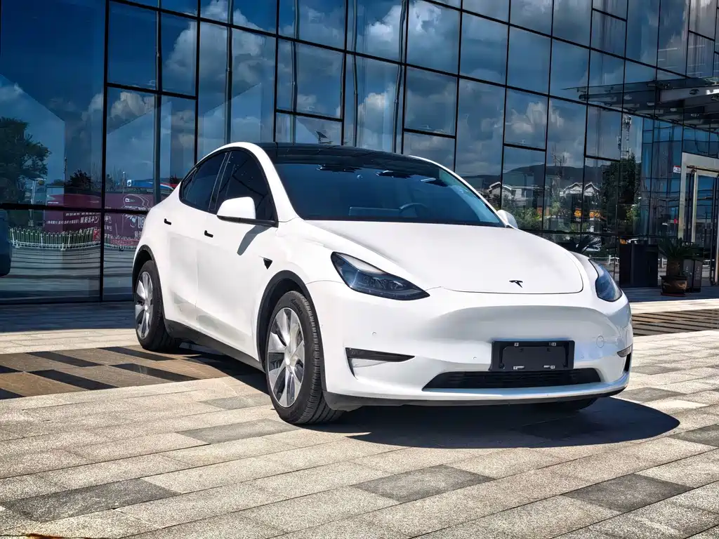 Tesla Model Y — фото 3