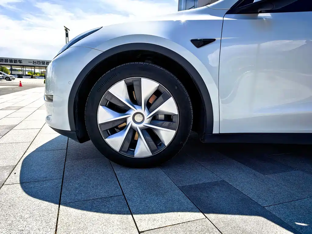 Tesla Model Y — фото 8