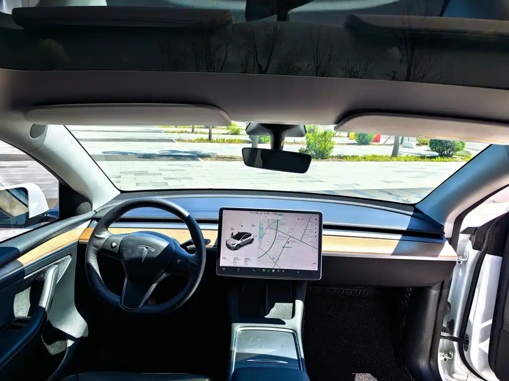 Tesla Model Y — фото 10