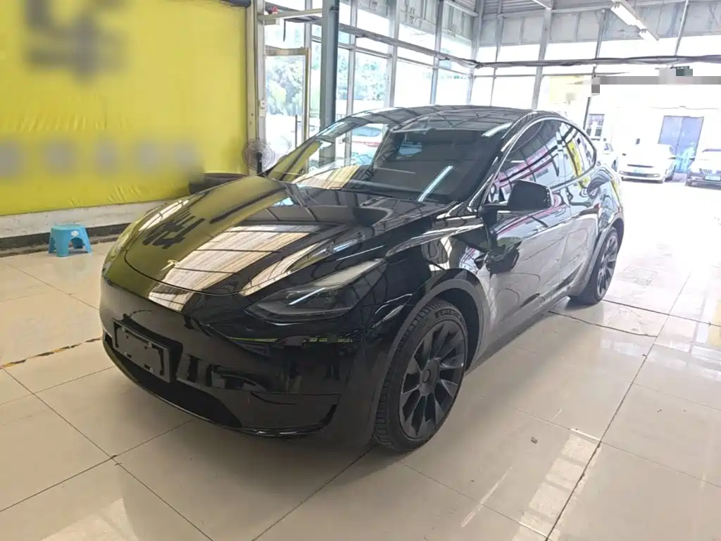 Tesla Model Y — фото 2