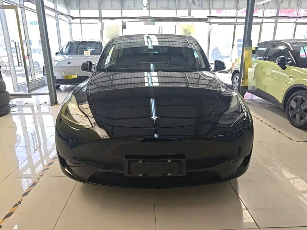 Tesla Model Y — фото 3