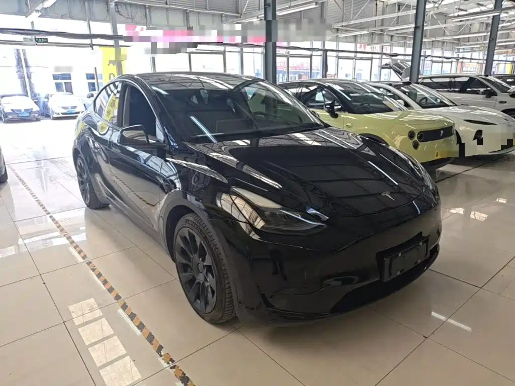 Tesla Model Y — фото 4