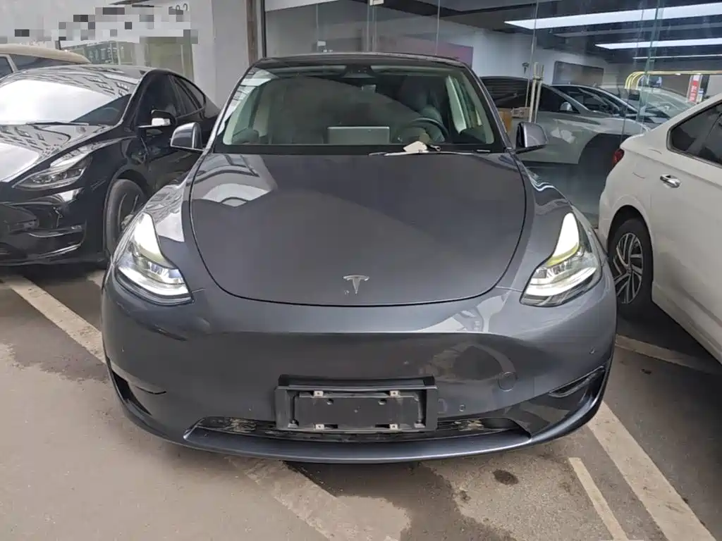 Tesla Model Y — фото 3