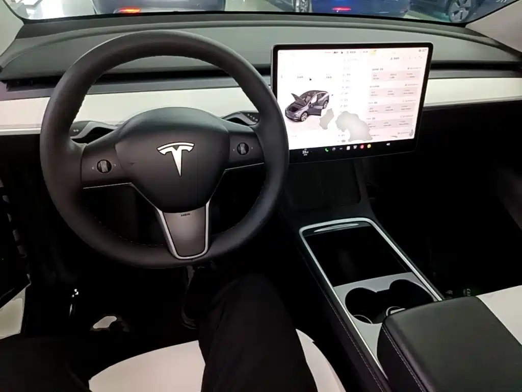 Tesla Model Y — фото 10
