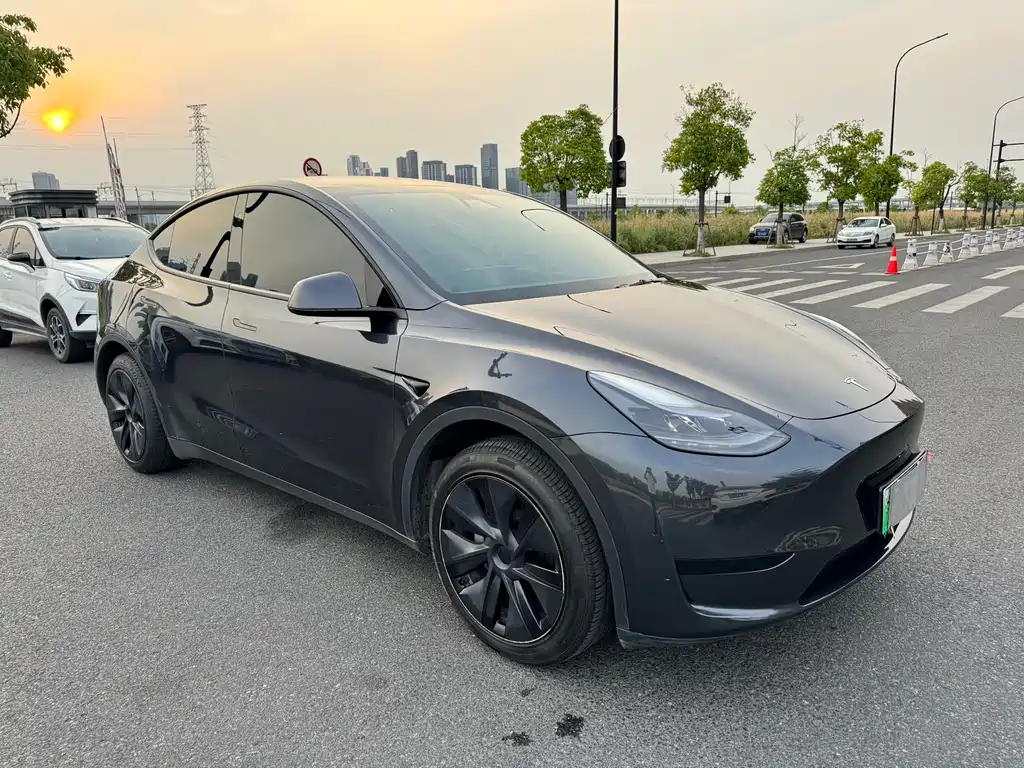 Tesla Model Y — фото 3
