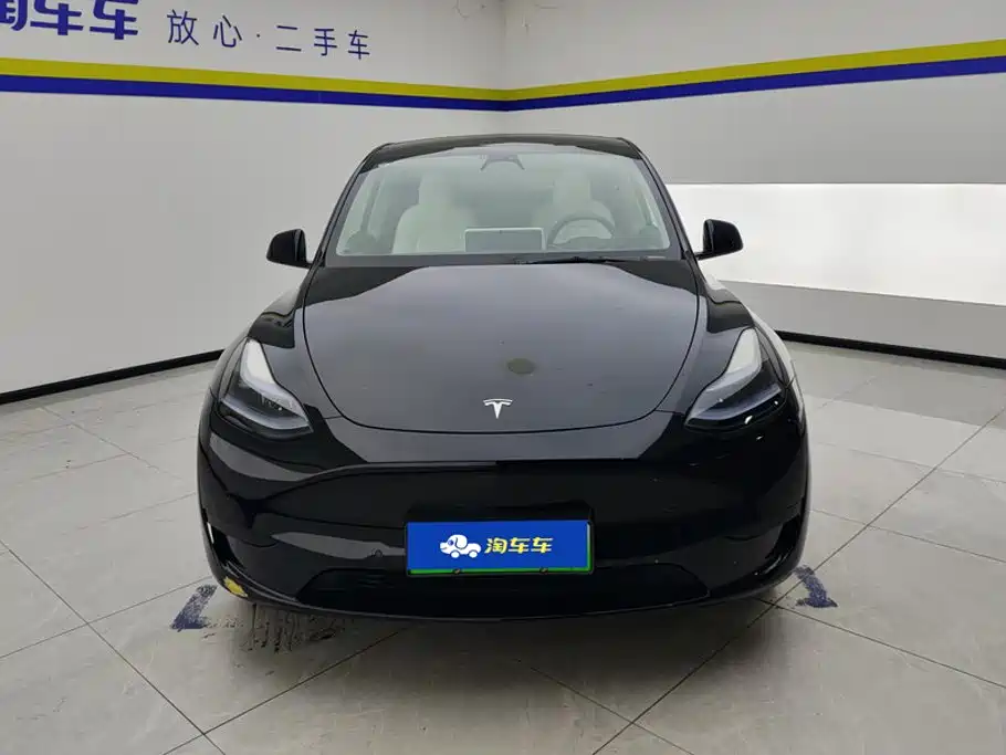 Tesla Model Y — фото 2