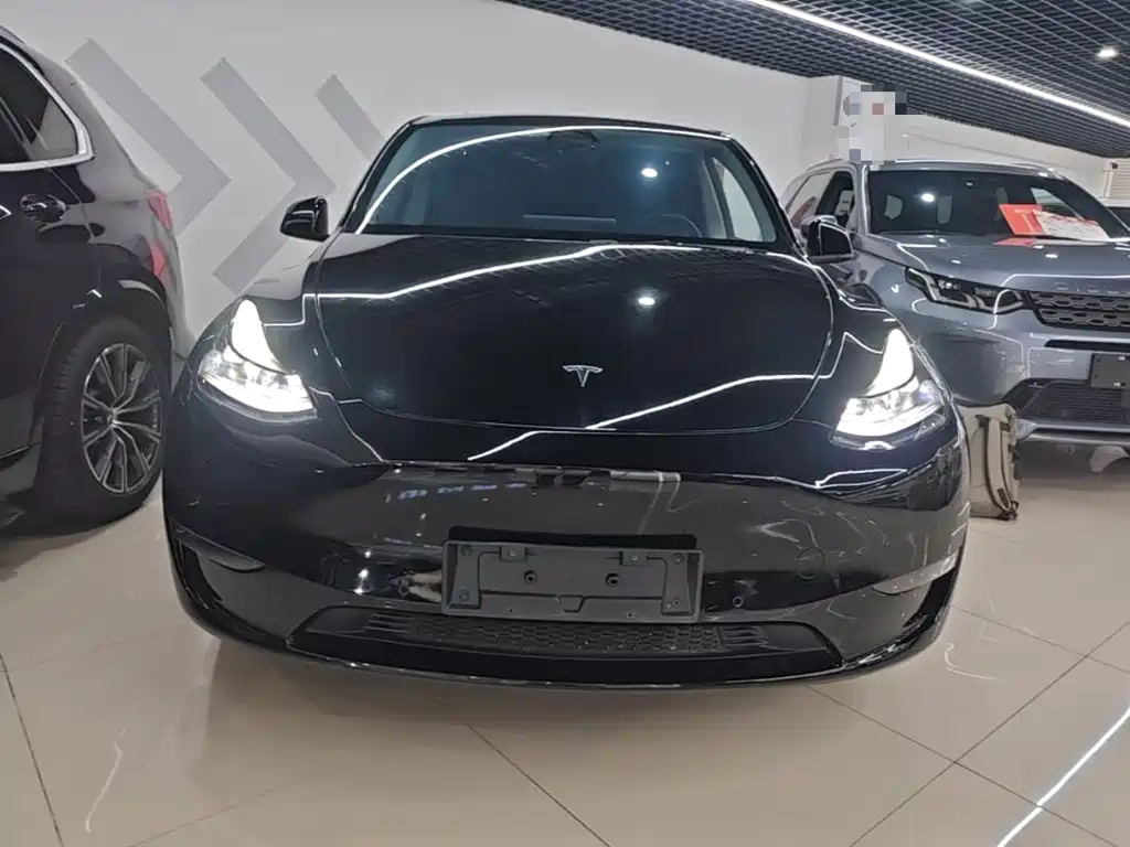 Tesla Model Y — фото 3