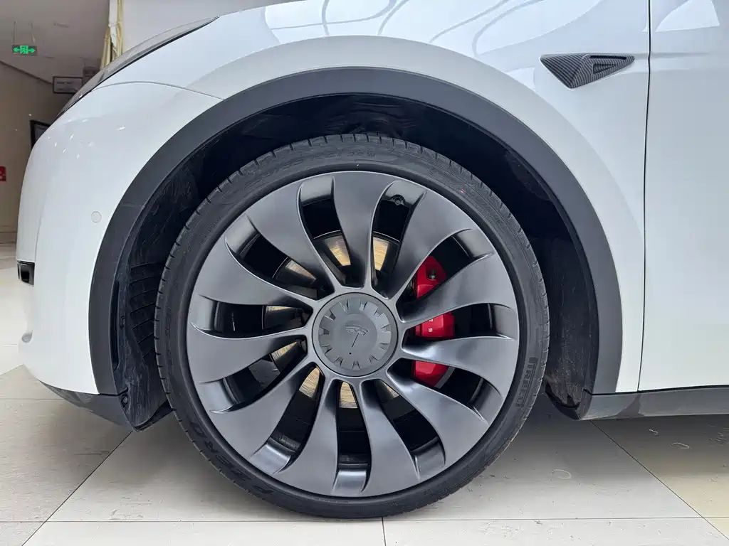 Tesla Model Y — фото 19
