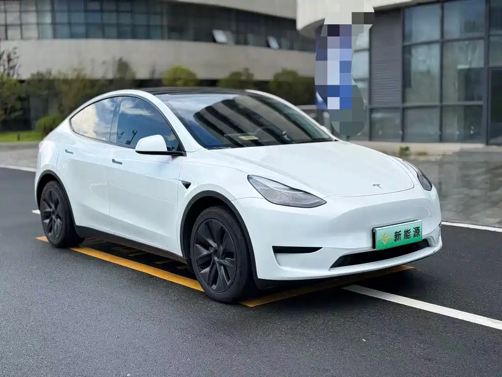 Tesla Model Y — фото 3