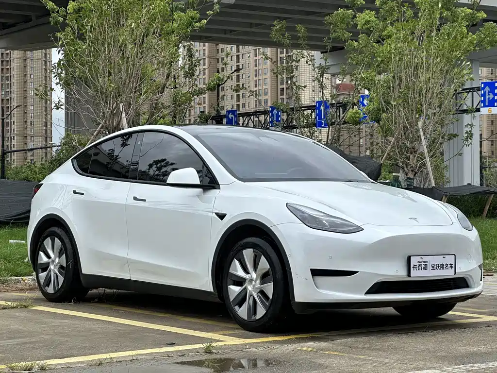 Tesla Model Y — фото 3