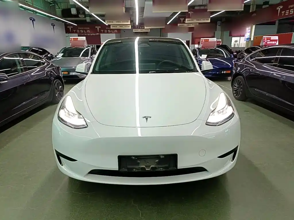 Tesla Model Y — фото 3