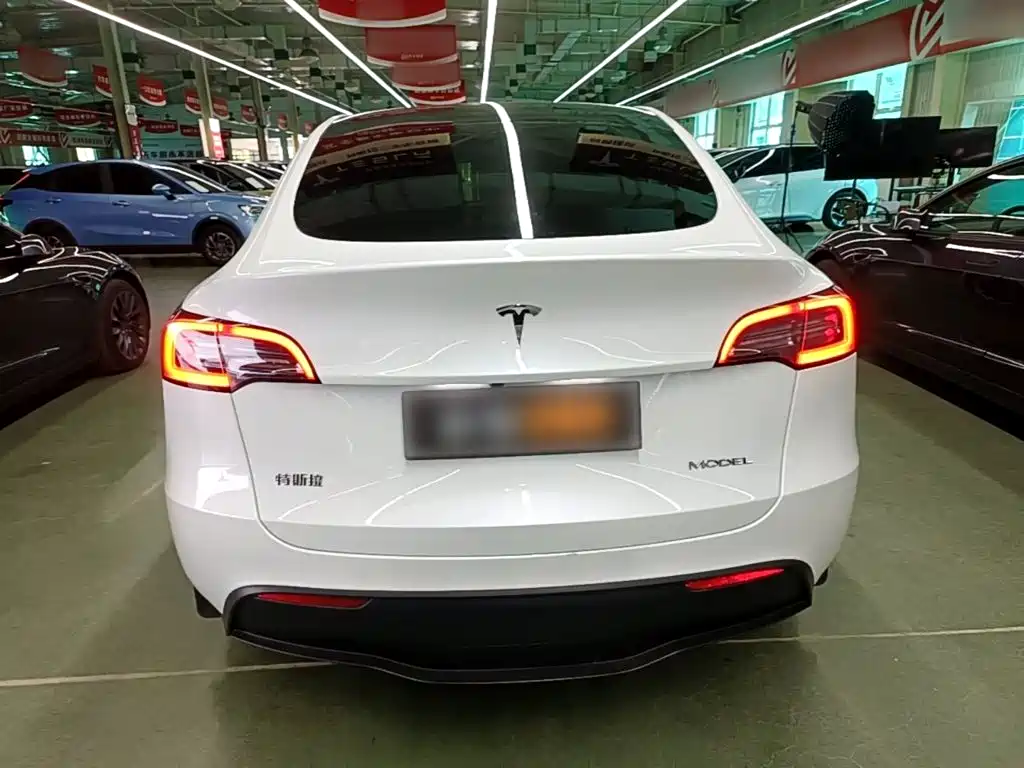 Tesla Model Y — фото 6
