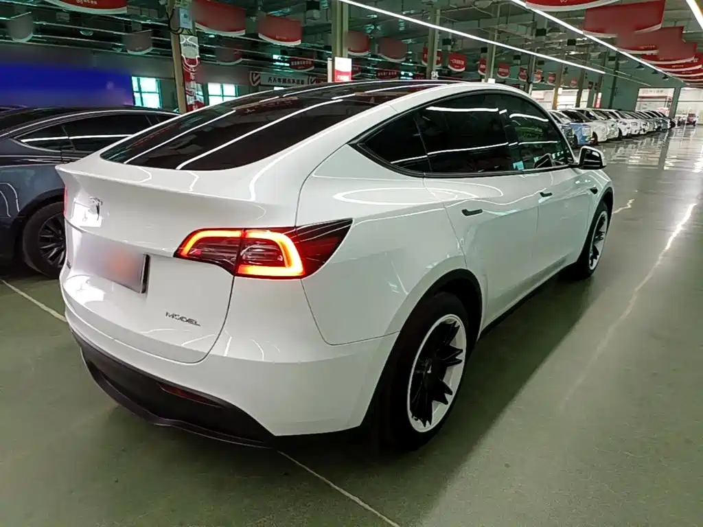 Tesla Model Y — фото 7