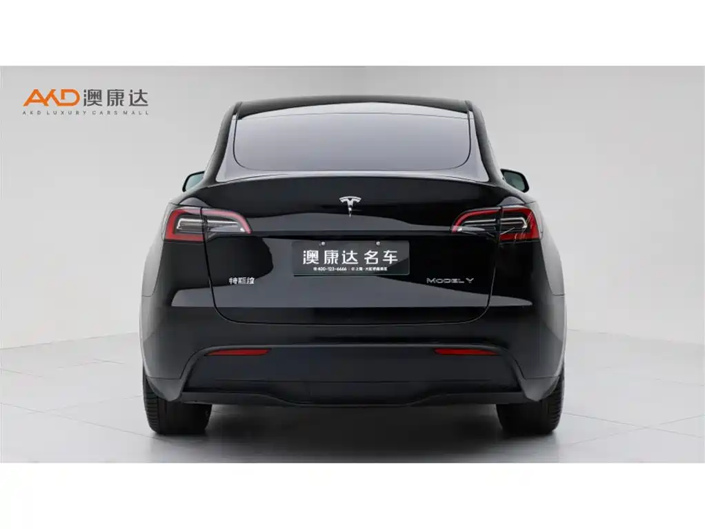 Tesla Model Y — фото 4