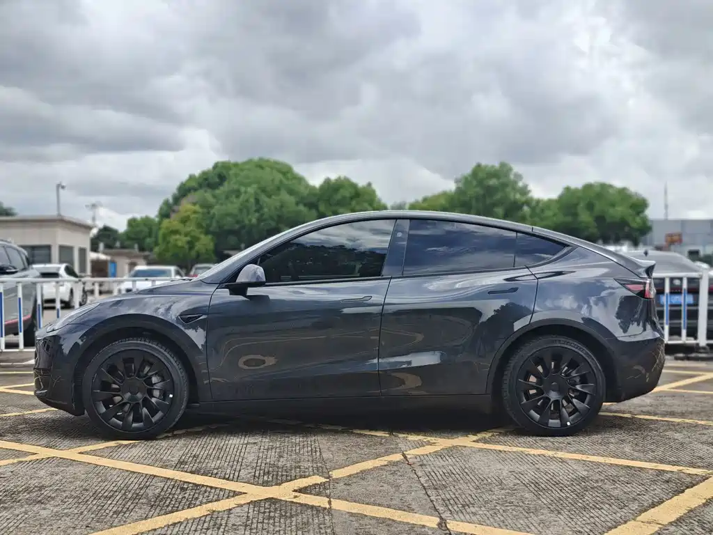 Tesla Model Y — фото 3