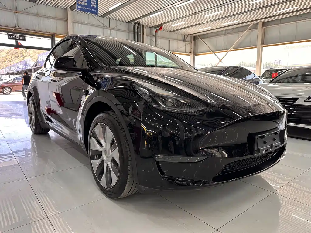 Tesla Model Y — фото 3