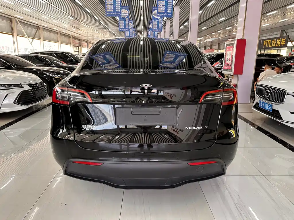 Tesla Model Y — фото 5