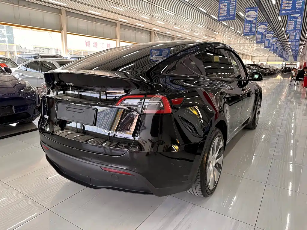 Tesla Model Y — фото 6