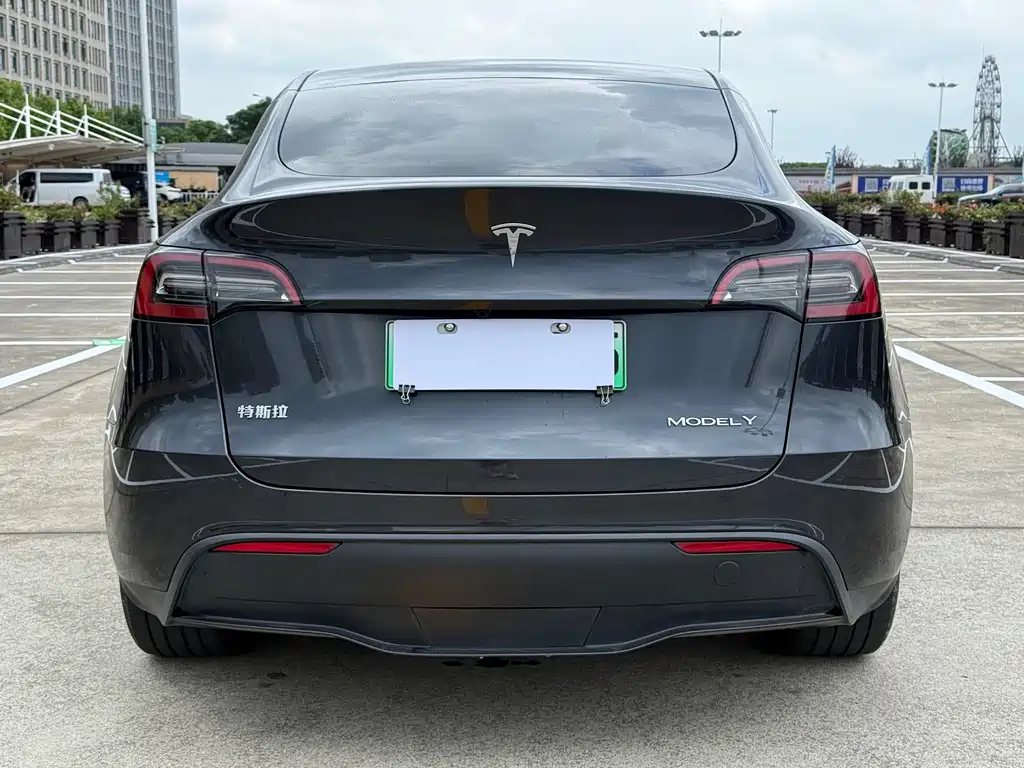 Tesla Model Y — фото 4