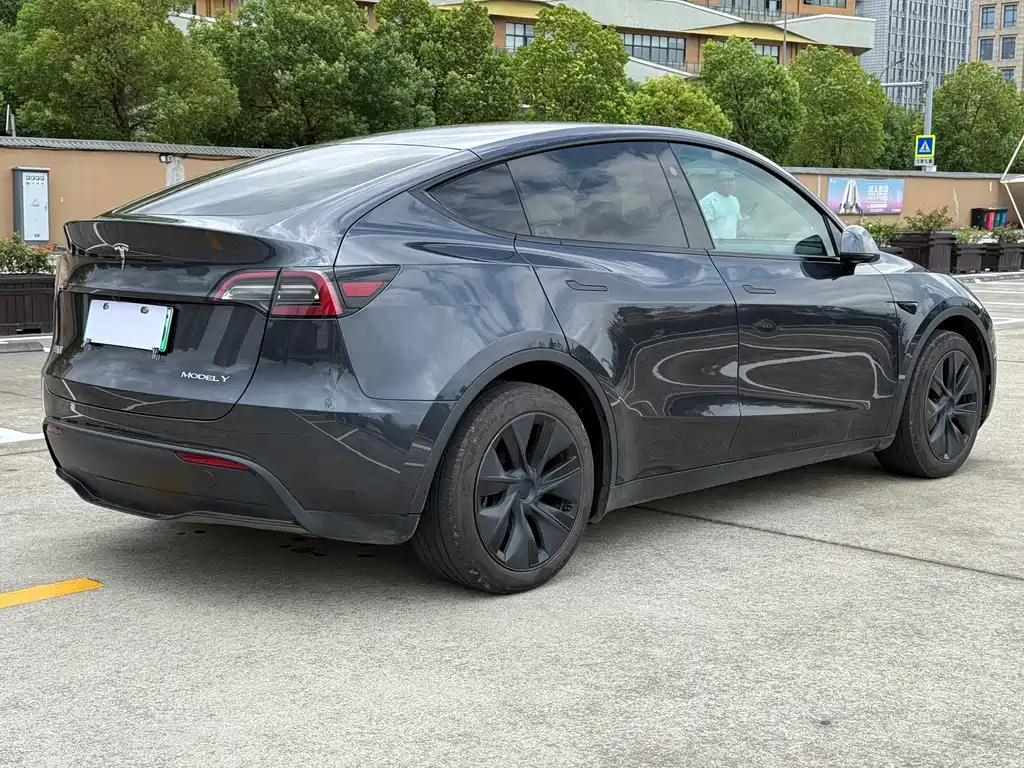 Tesla Model Y — фото 5