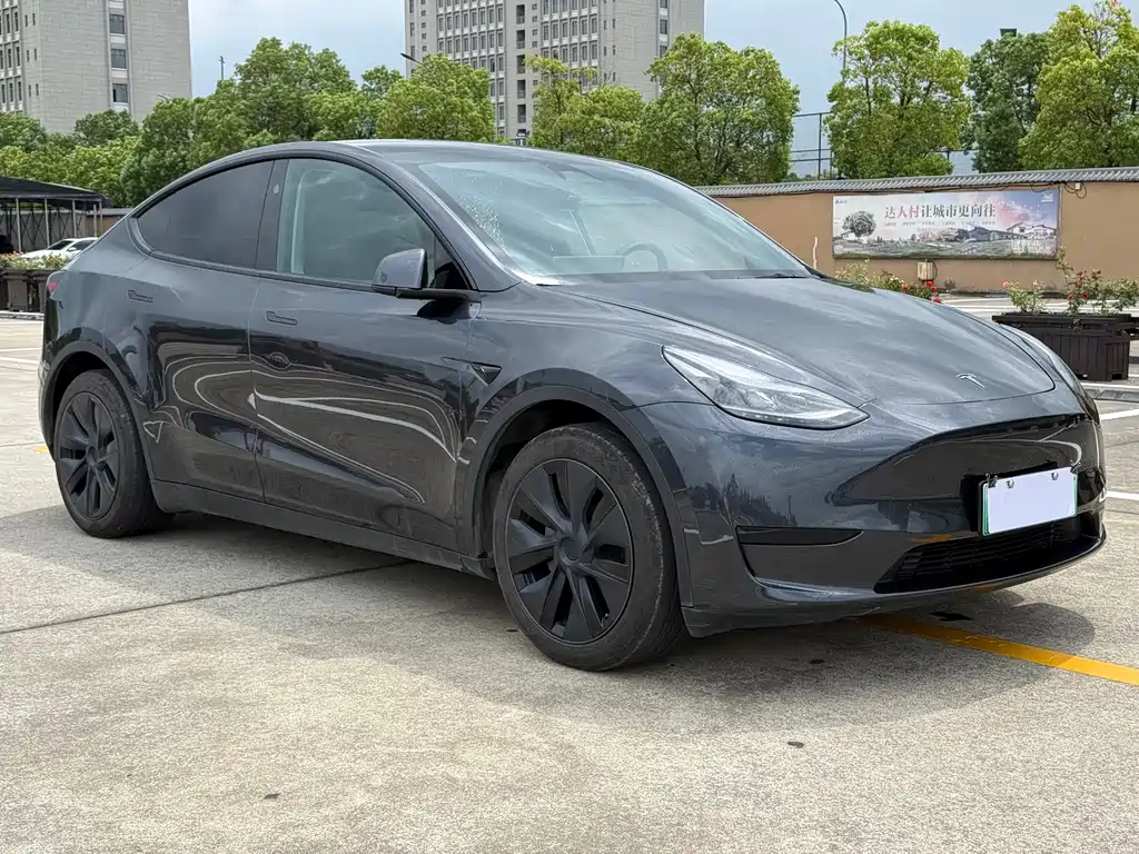 Tesla Model Y — фото 7