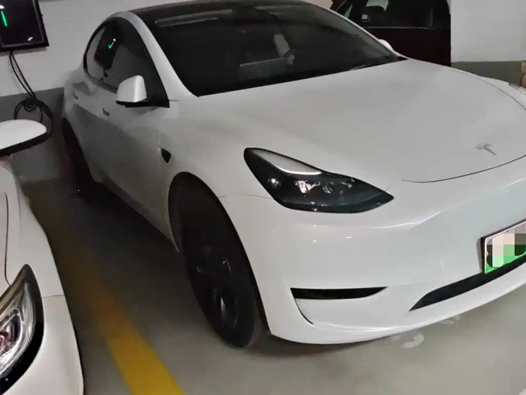 Tesla Model Y — фото 3