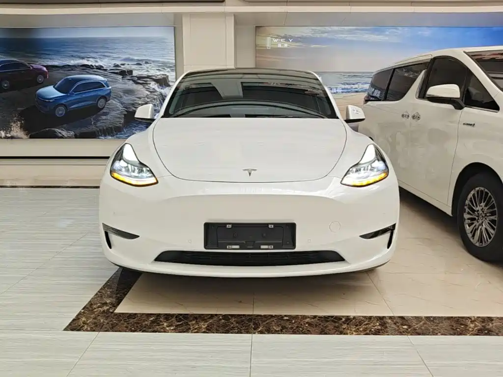 Tesla Model Y — фото 3