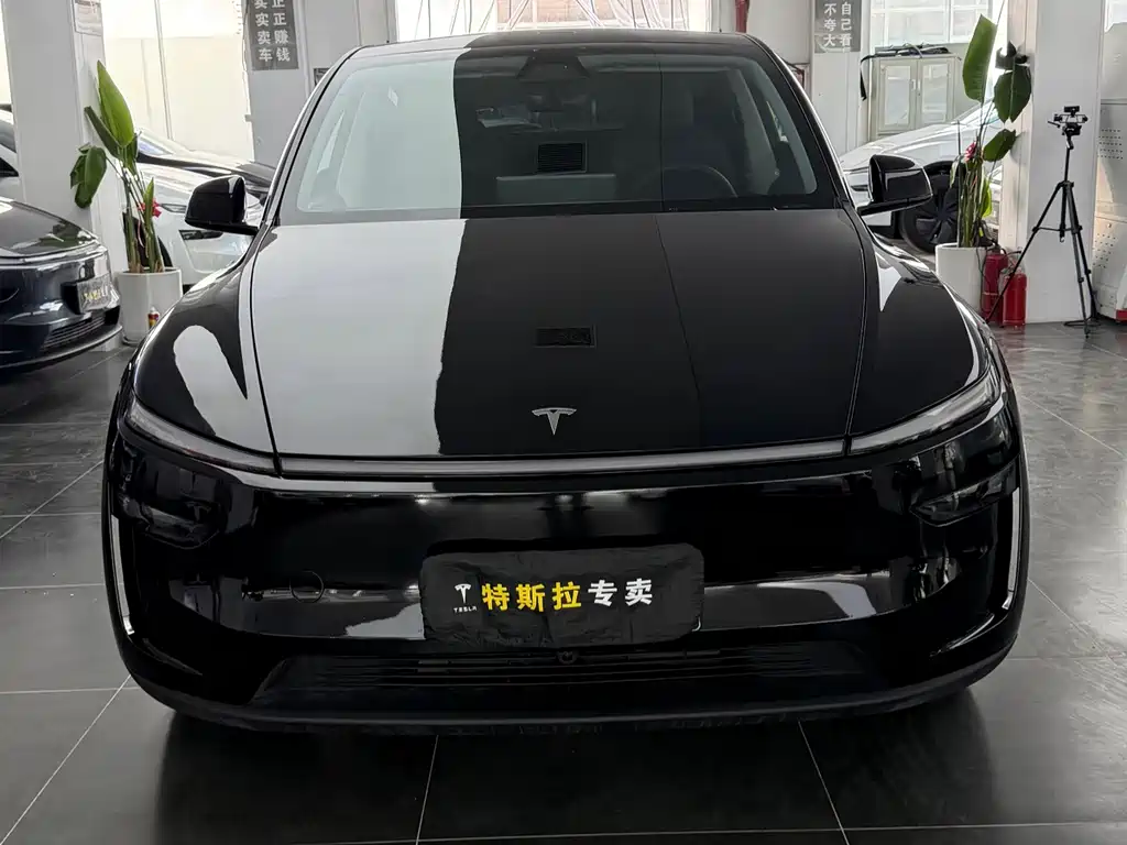 Tesla Model Y — фото 2
