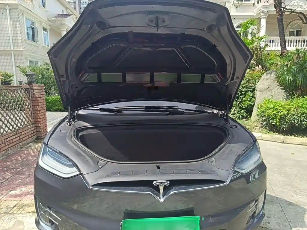 Tesla Model X — фото 11